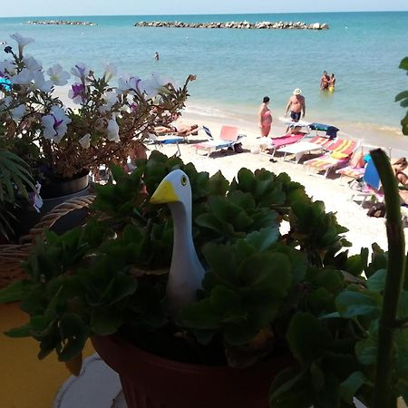 Acquamarina B&B Casa vacanze Marina di Montemarciano Esterno foto