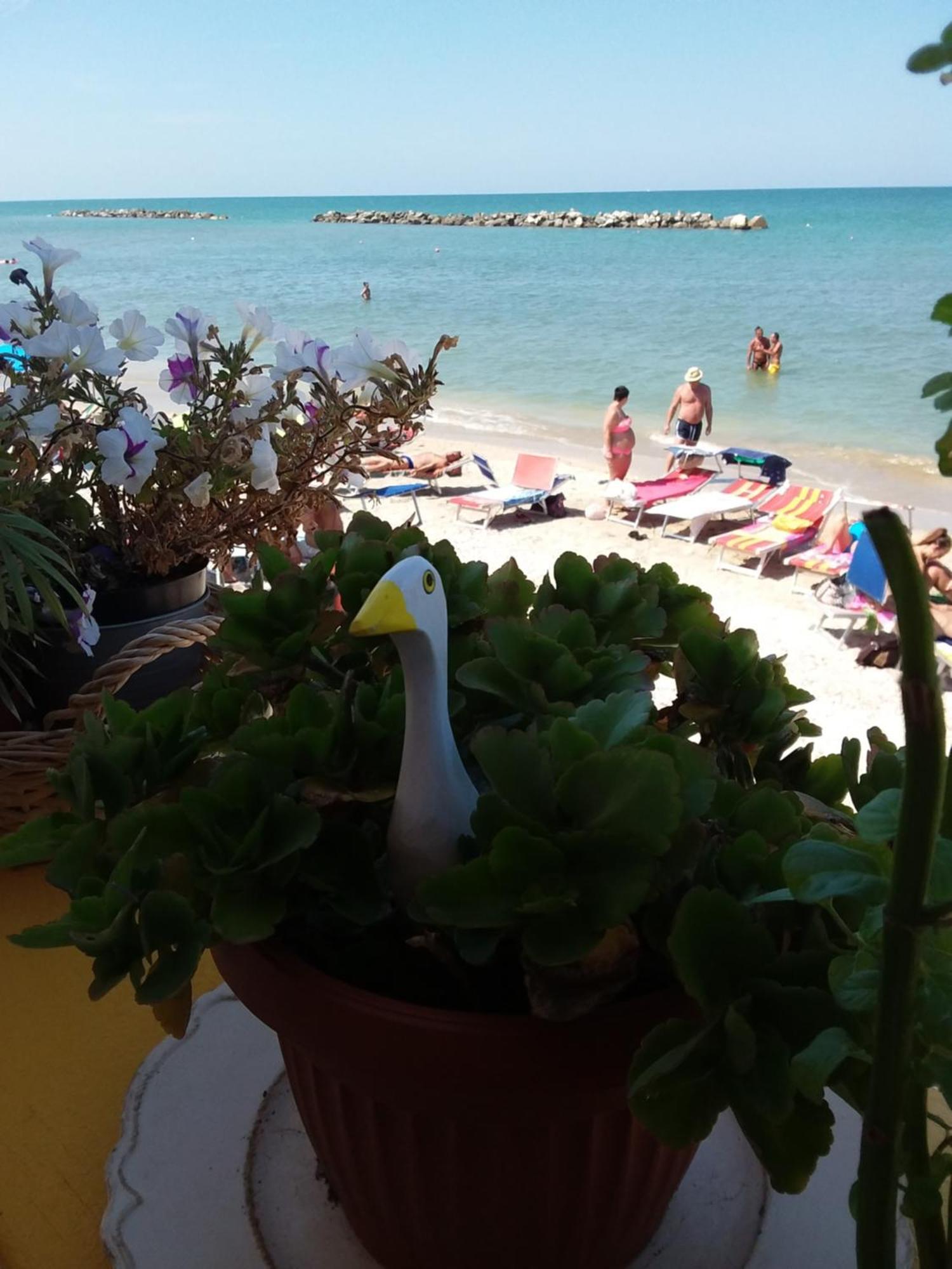 Acquamarina B&B Casa vacanze Marina di Montemarciano Esterno foto