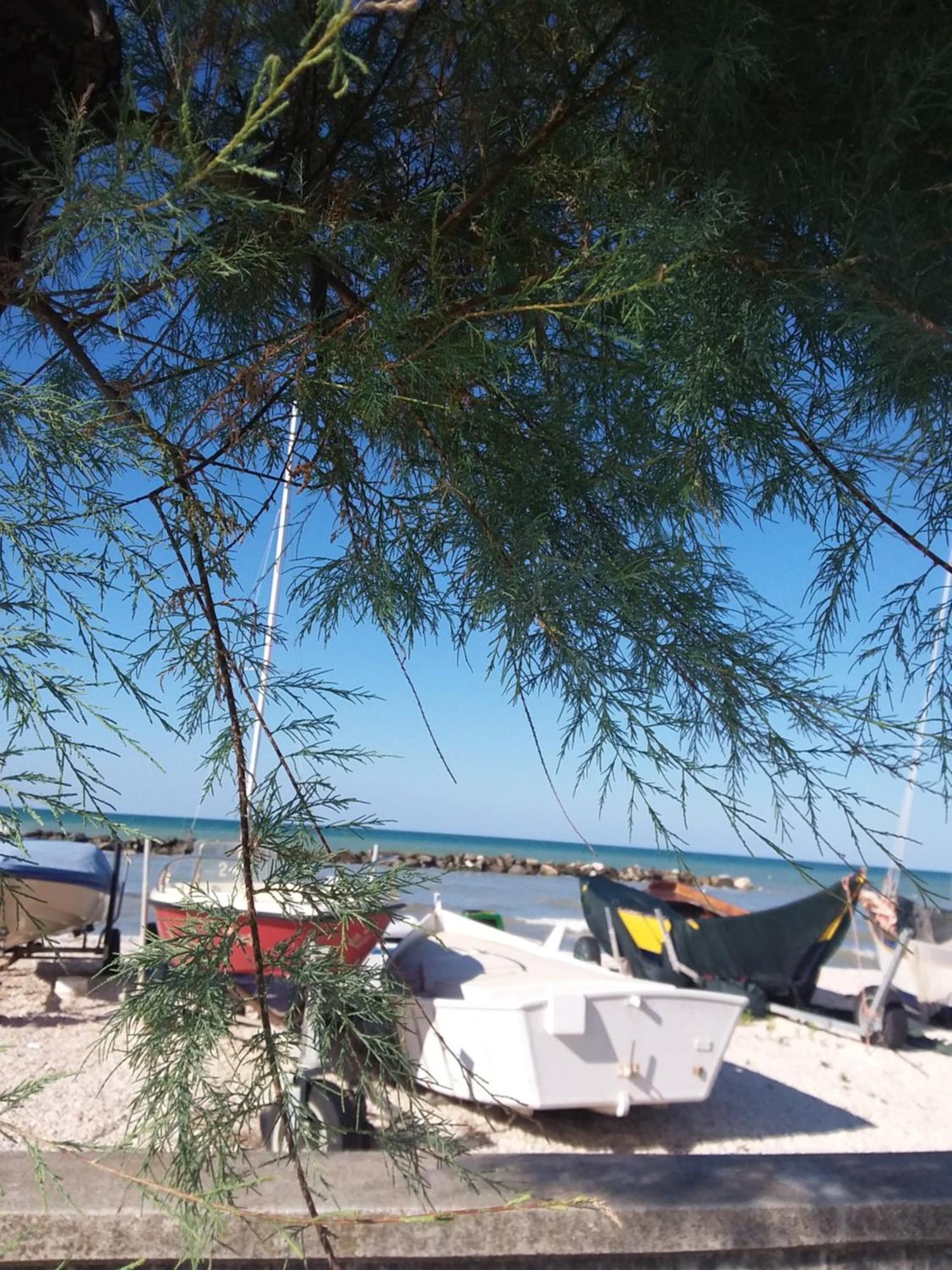Acquamarina B&B Casa vacanze Marina di Montemarciano Esterno foto