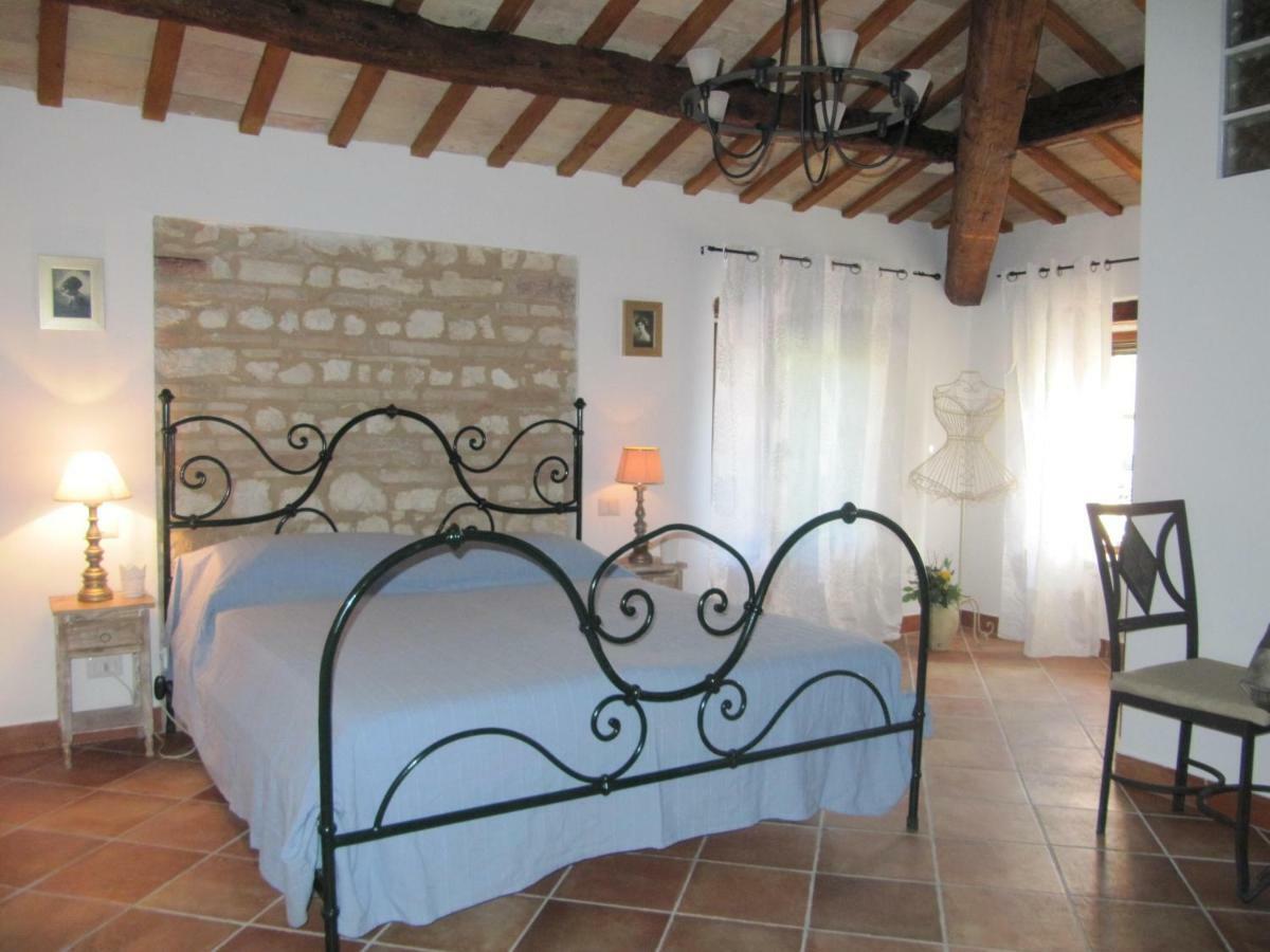 Acquamarina B&B Casa vacanze Marina di Montemarciano Esterno foto