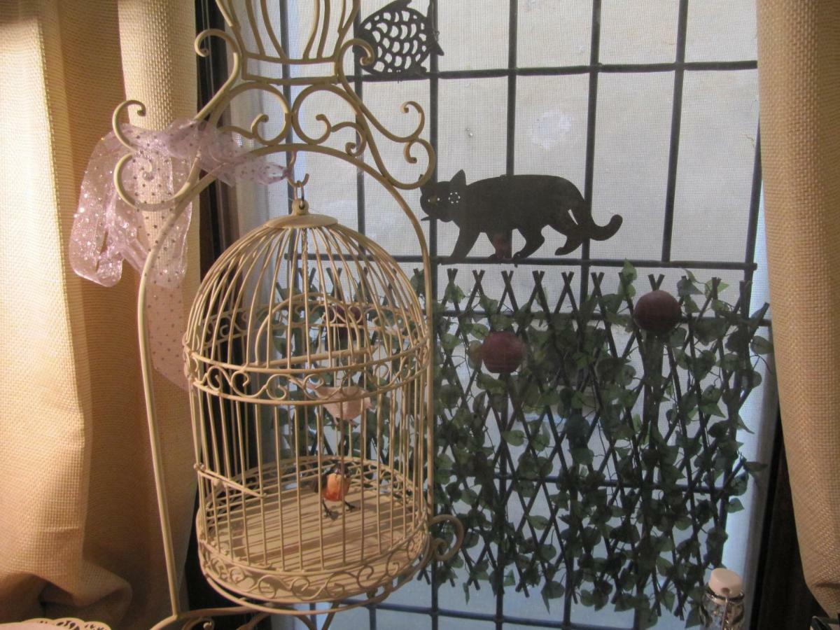 Acquamarina B&B Casa vacanze Marina di Montemarciano Esterno foto