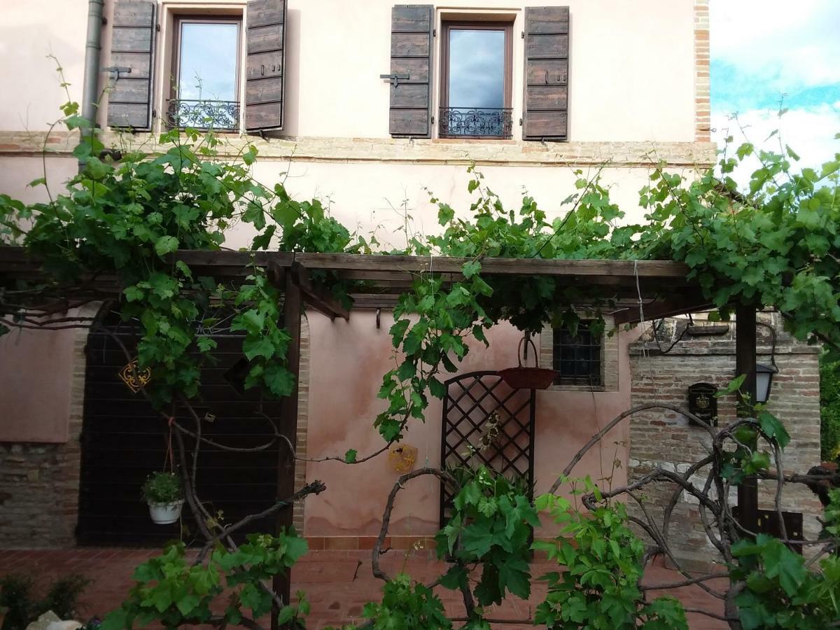 Acquamarina B&B Casa vacanze Marina di Montemarciano Esterno foto