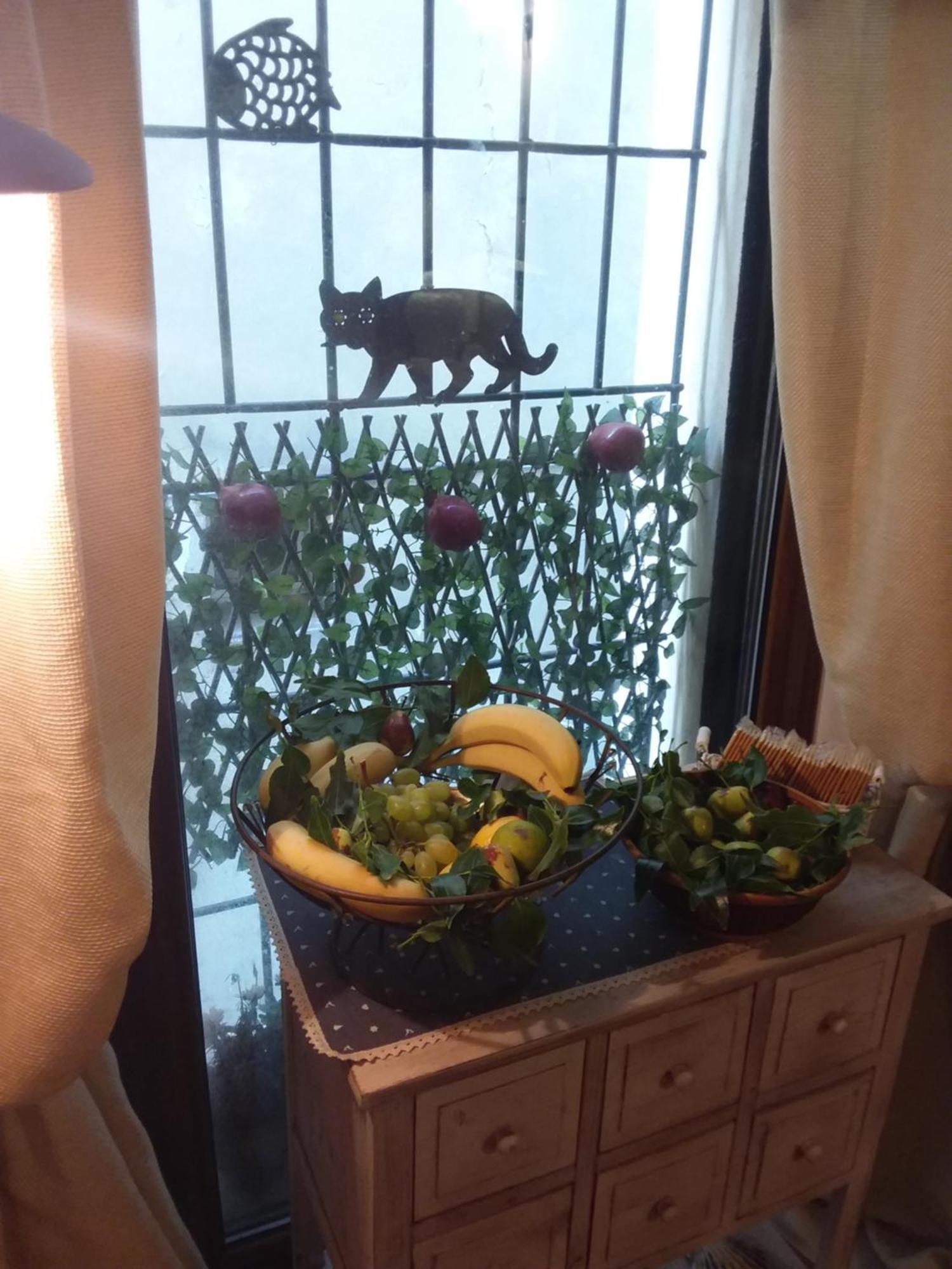 Acquamarina B&B Casa vacanze Marina di Montemarciano Esterno foto