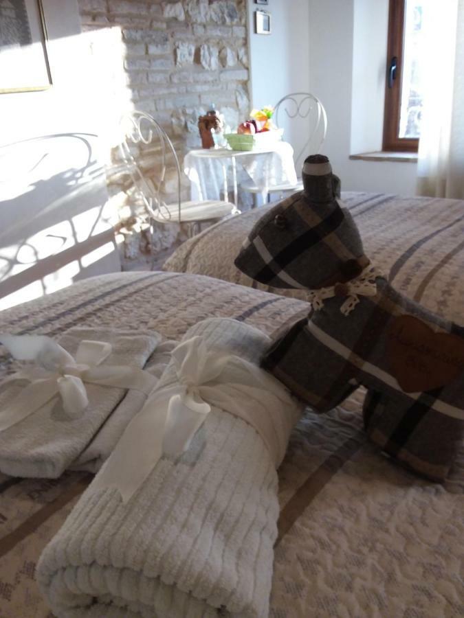 Acquamarina B&B Casa vacanze Marina di Montemarciano Esterno foto
