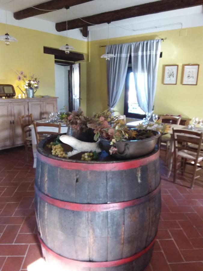Acquamarina B&B Casa vacanze Marina di Montemarciano Esterno foto